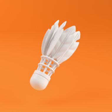 11 shuttlecock