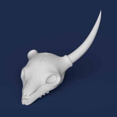 Deer skull