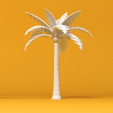 Palm tree