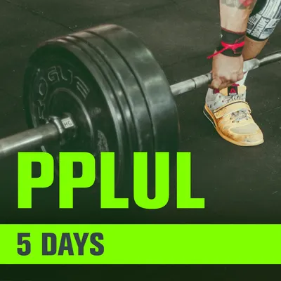 PPLUL Workout – 5-Day Push Pull Legs Upper Lower Routine
