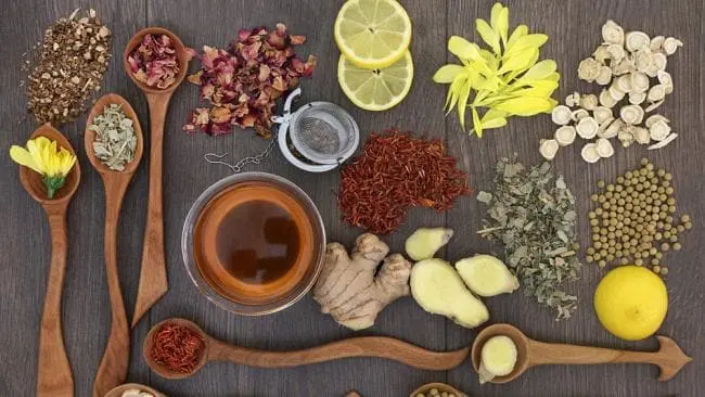 Ayurvedic Healing Retreat