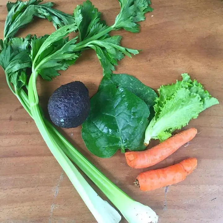 Gardening & Sustainability