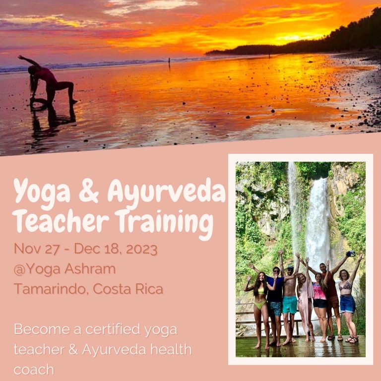 Yoga teacher training banner