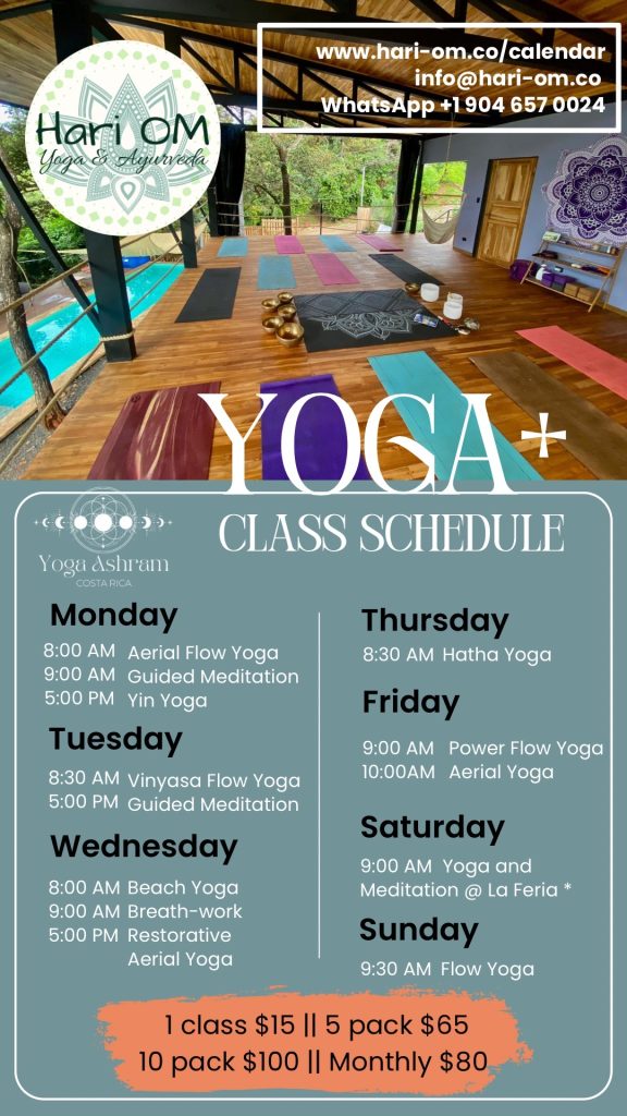 Yoga Ashram CR Class Schedule 2024