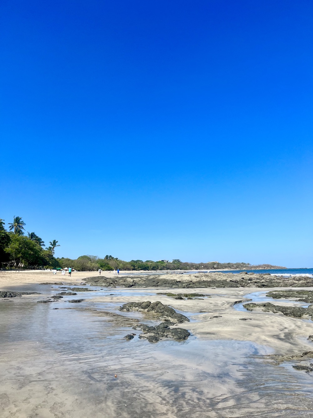 Pura Vida Yoga & Surf Retreat