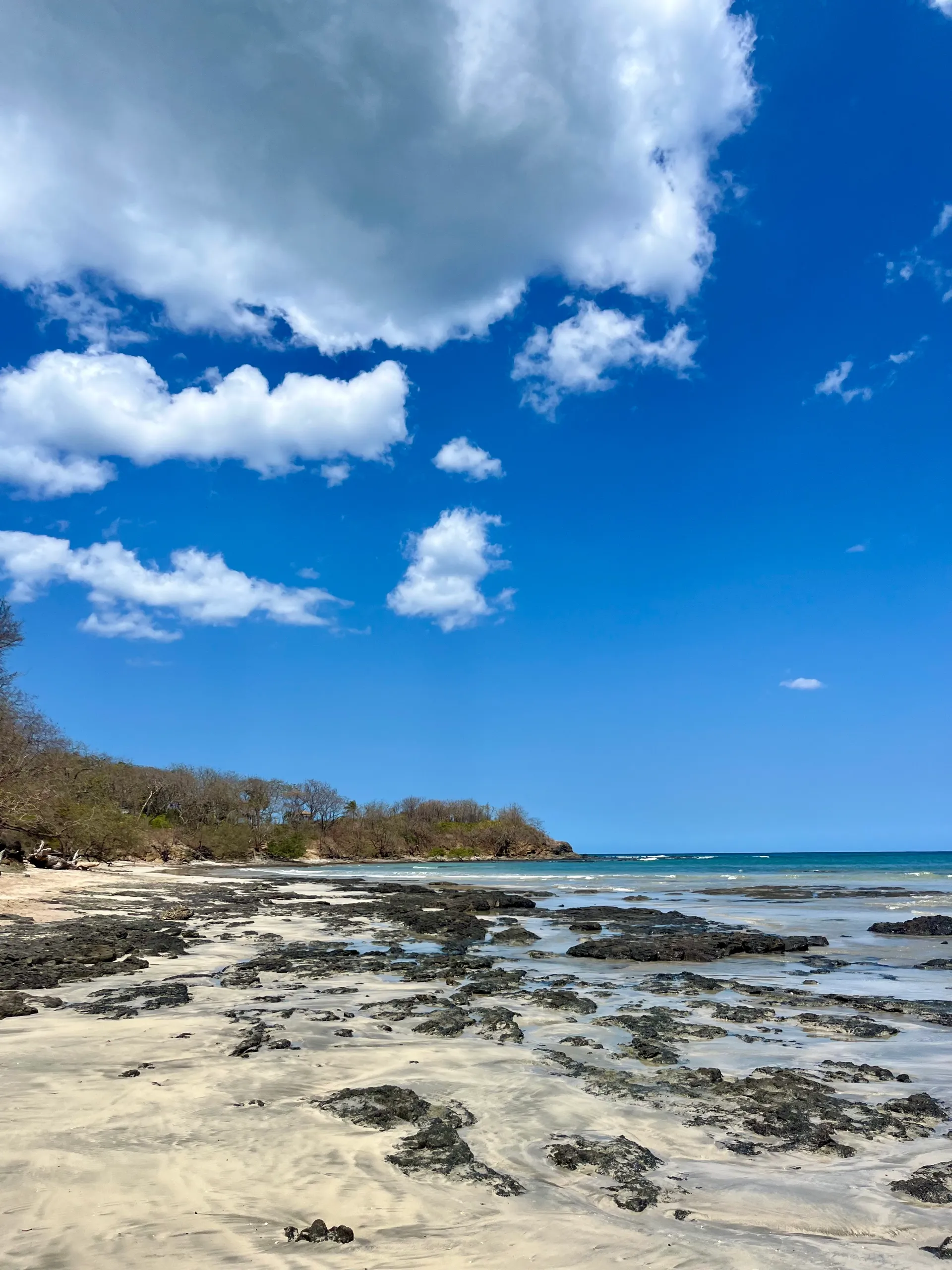 Authentic Yoga and Ayurveda experience at Hari OM Ashram, Costa Rica