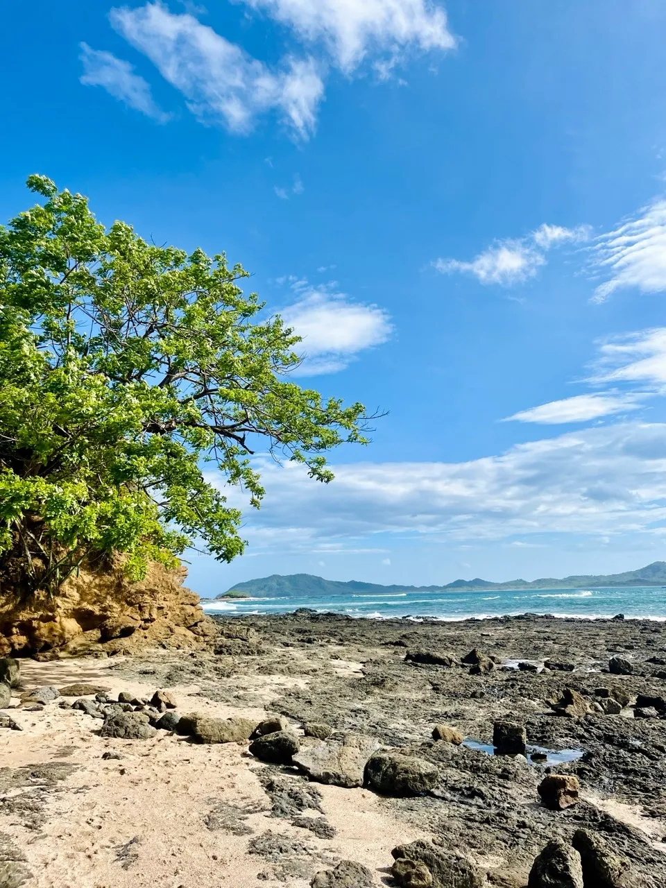 Tropical nature abundance in Costa Rica.