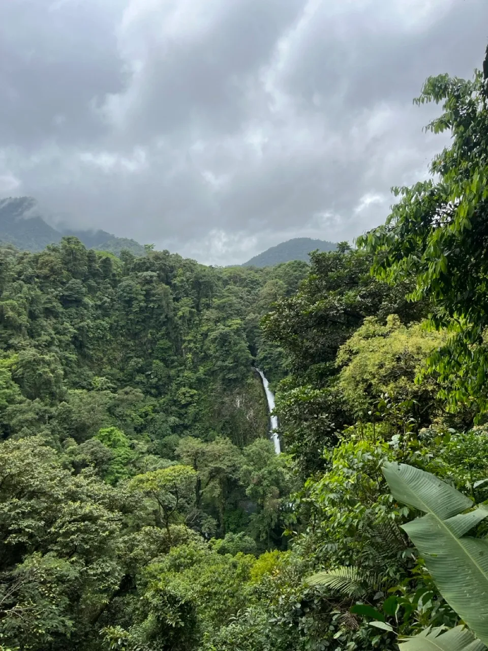 Pura Vida & Prana: Why Costa Rica is the Perfect Home for Ayurveda