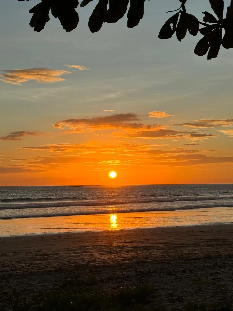 Packing for Paradise: Your Ultimate Guide to a Hari Om Retreat