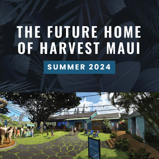 Maui Relief Remodel Project