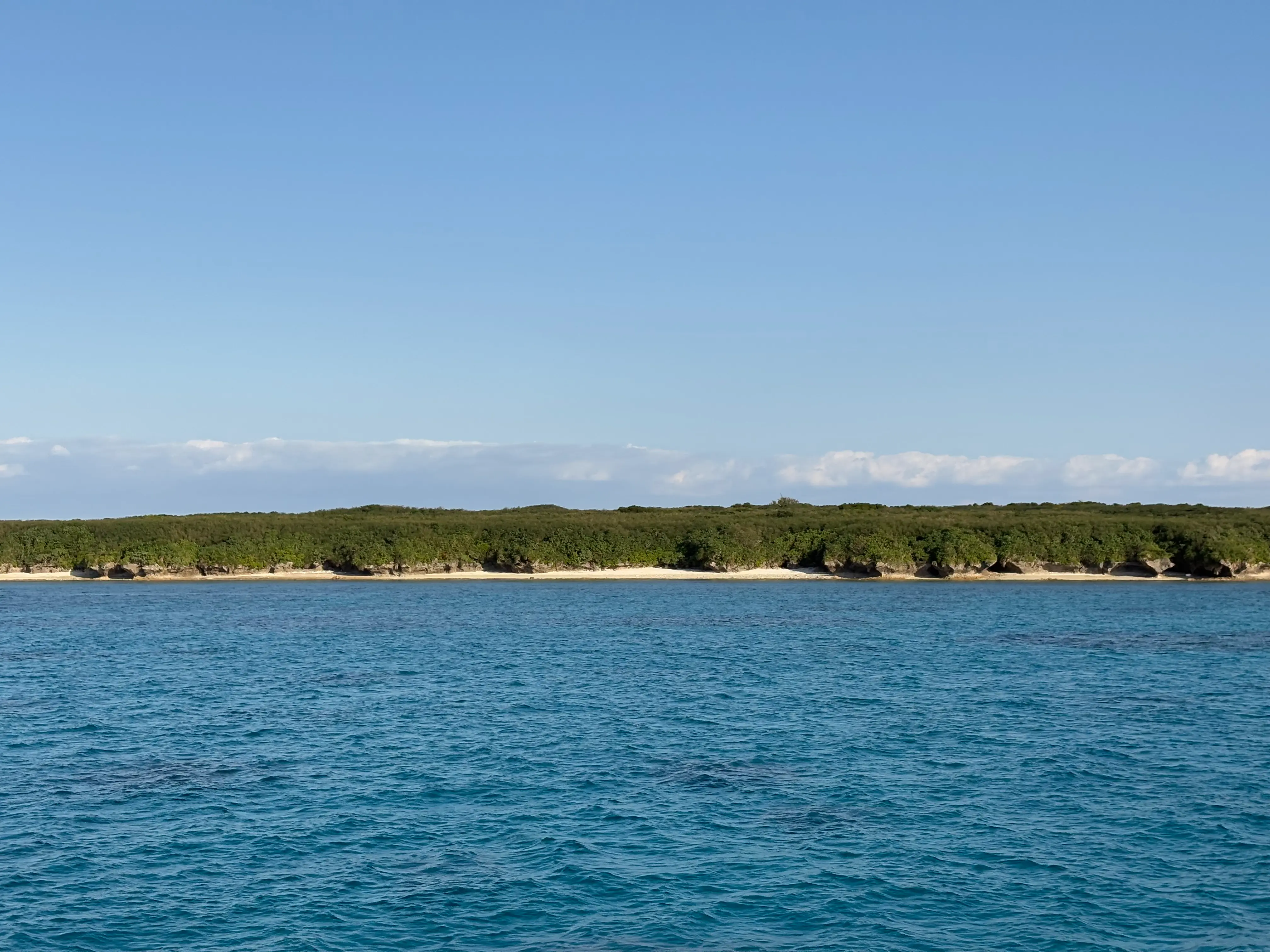 船から見た竹富島