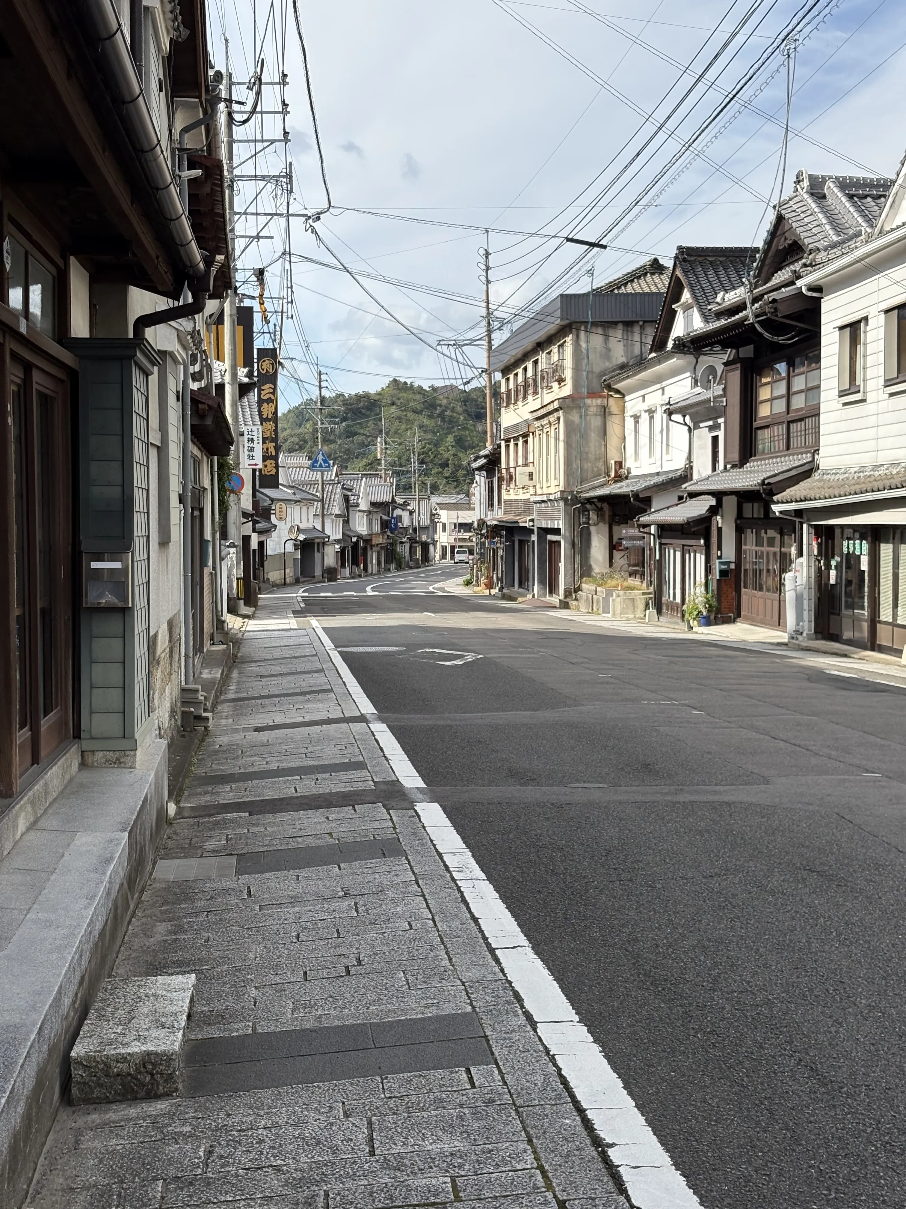 大通りには和洋さまざまな建物が並んでいる。車通りがそれなりにある割に歩道が狭いので少し歩きづらい