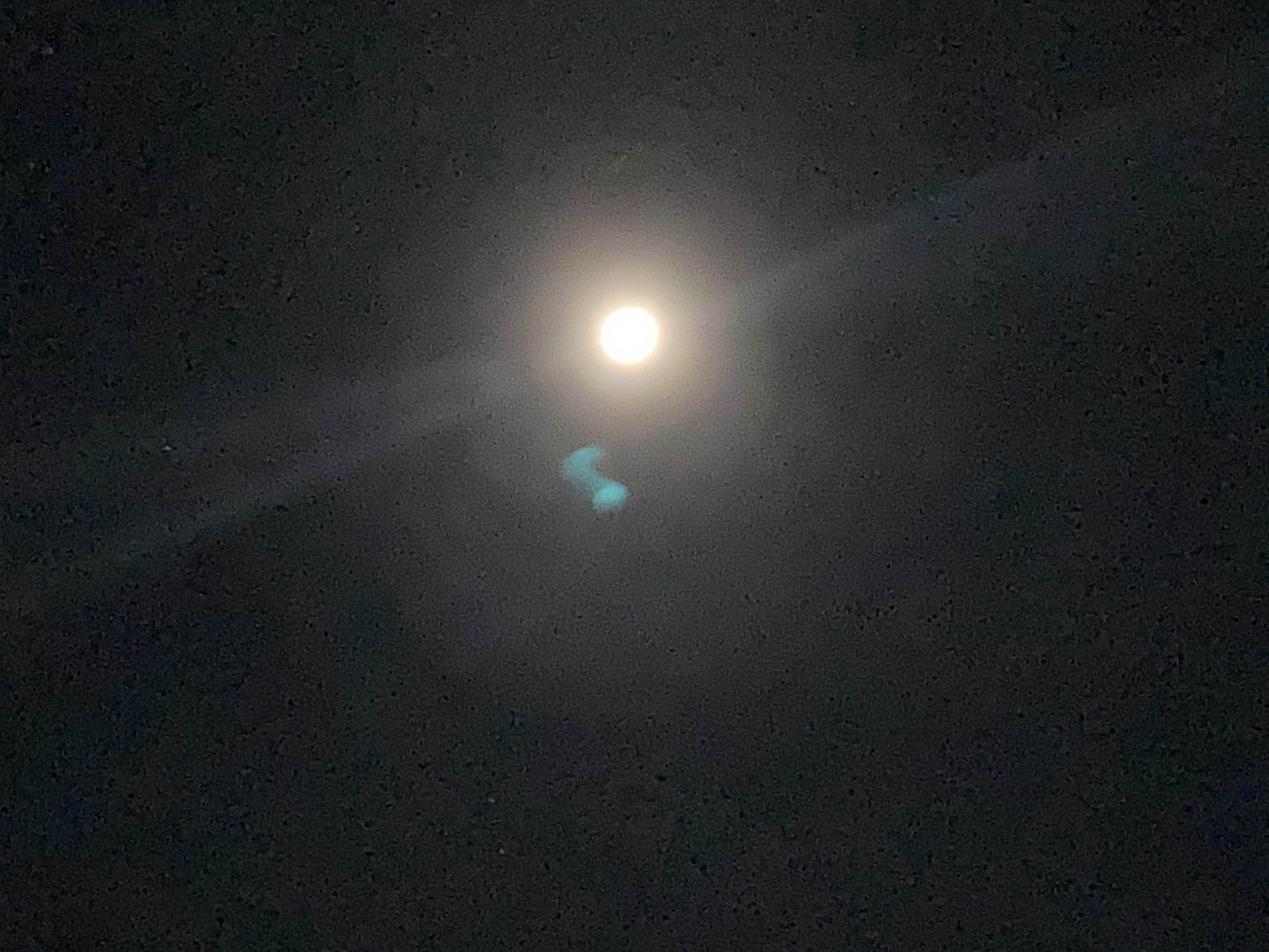 276634
