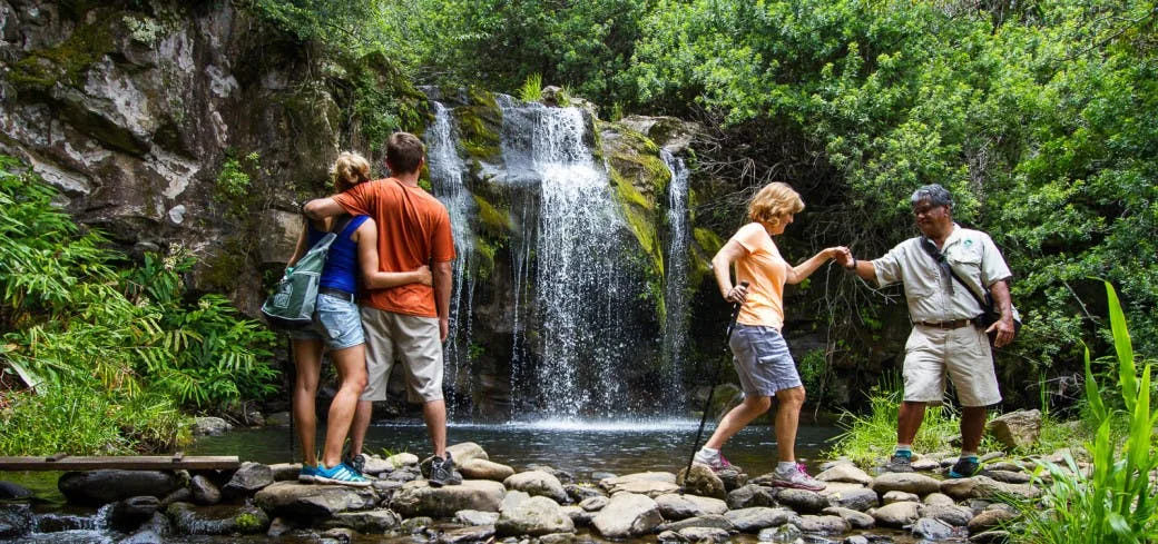 Kohala Waterfalls, Big Island