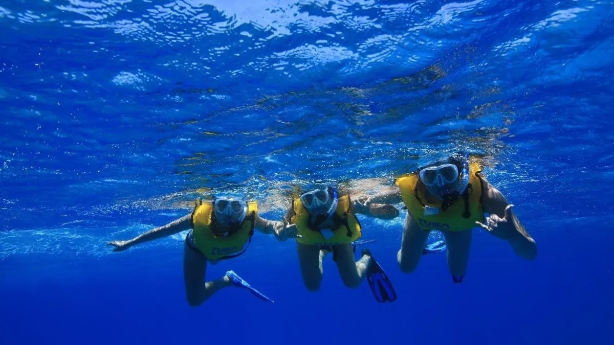 Turtle Canyons Snorkel Excursion image 4