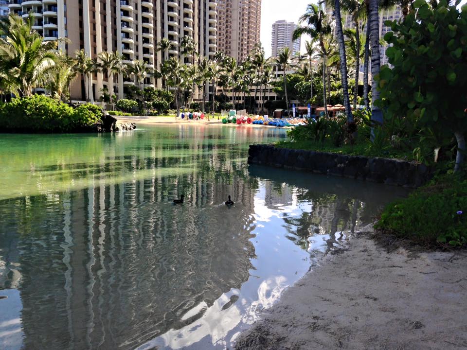Hilton Hawaiian Village