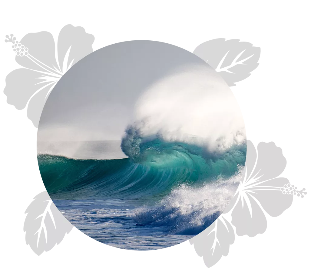 oahu-day-3
