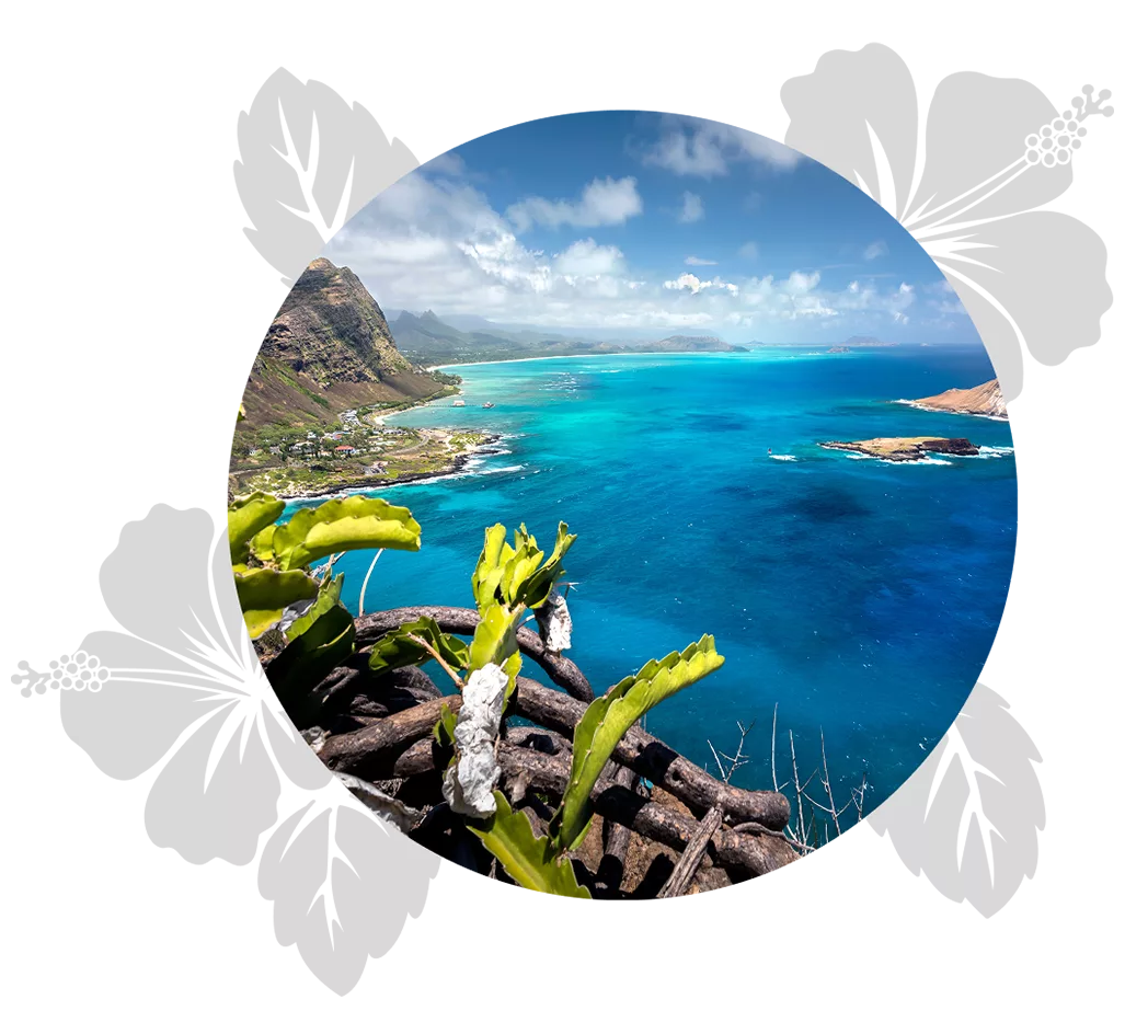 oahu-day-4