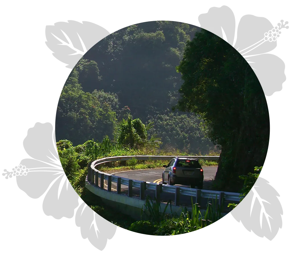 4-islands-day-10