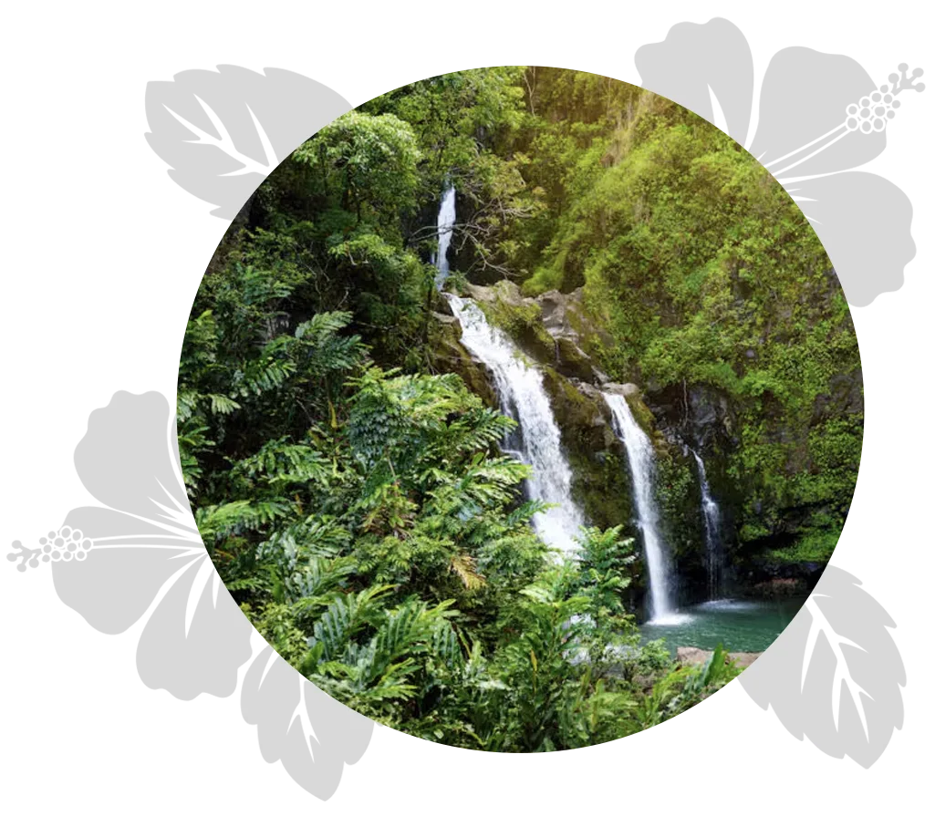 kauai-maui-day-6