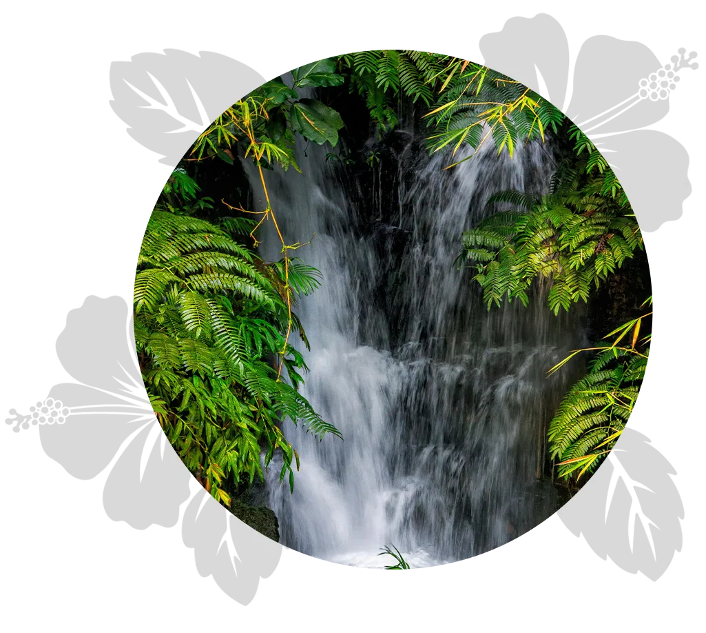 5-Star-Big-Island-day-4