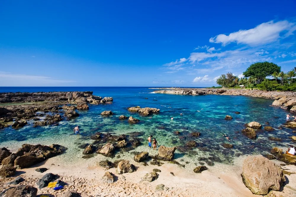 Shark's Cove