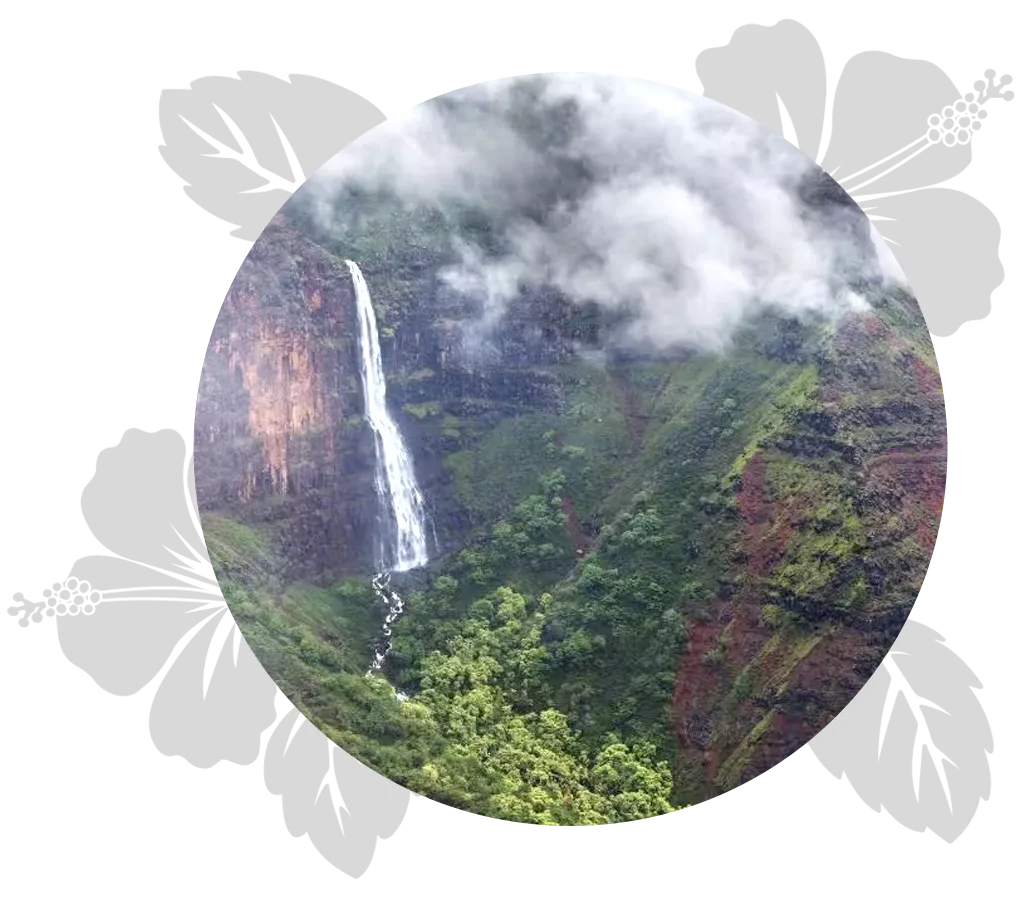 kauai-honeymoon-day-4