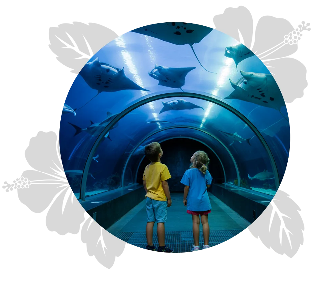 island-discovery-mau-day-2