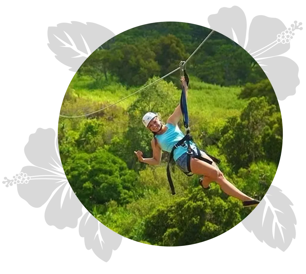 zip-2