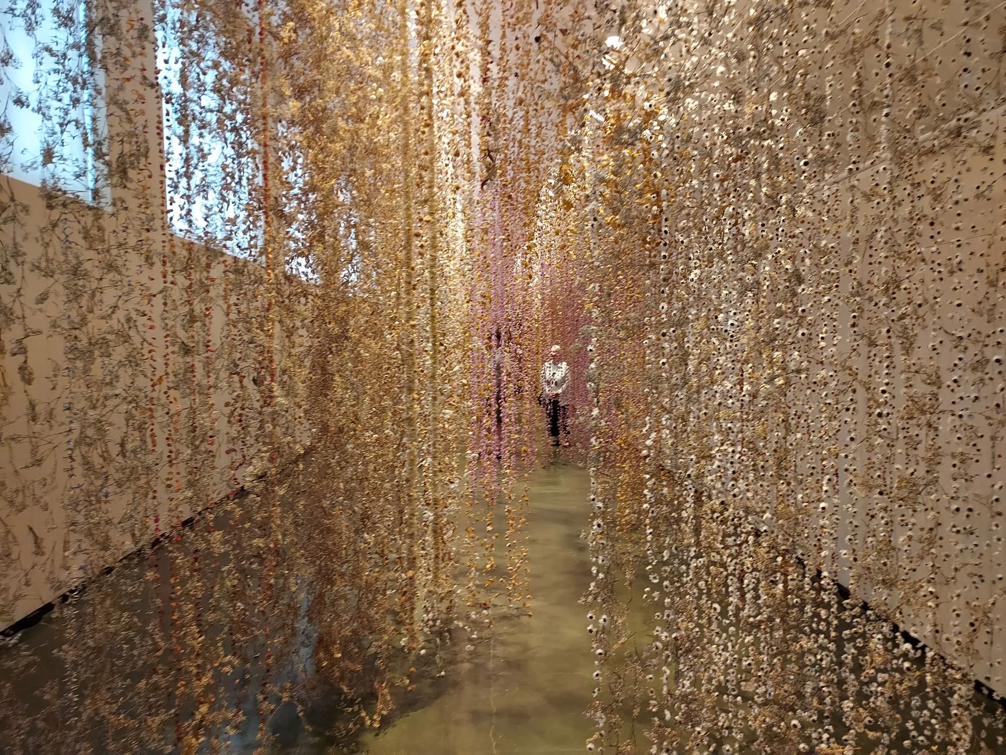 Honolulu Museum of Art "Awakening" exhibit