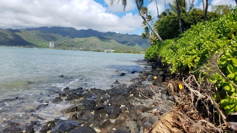 King-Tide-1-e1515010297739