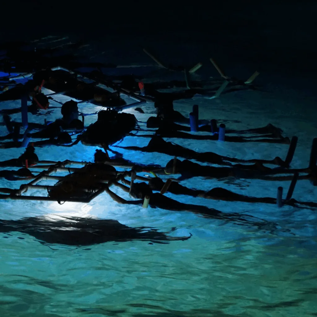 Kona night snorkel with manta rays