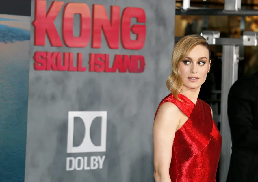 dreamstime_m_274354325