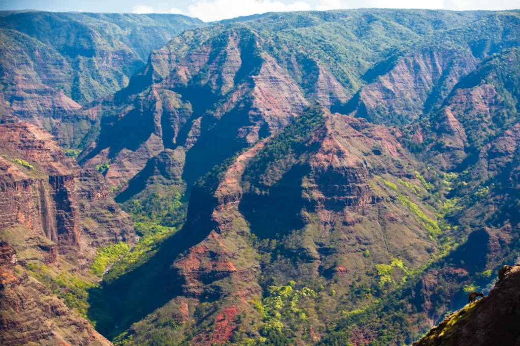 waimea canyon on kauai