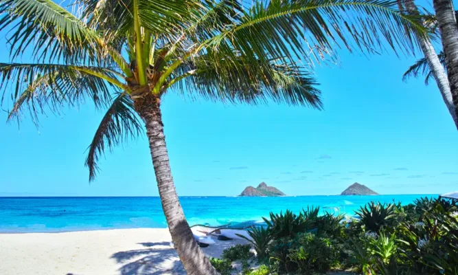 lanikai beach hotels