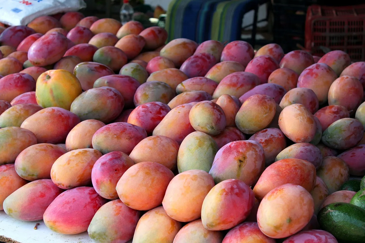 mangoes-354062_1280