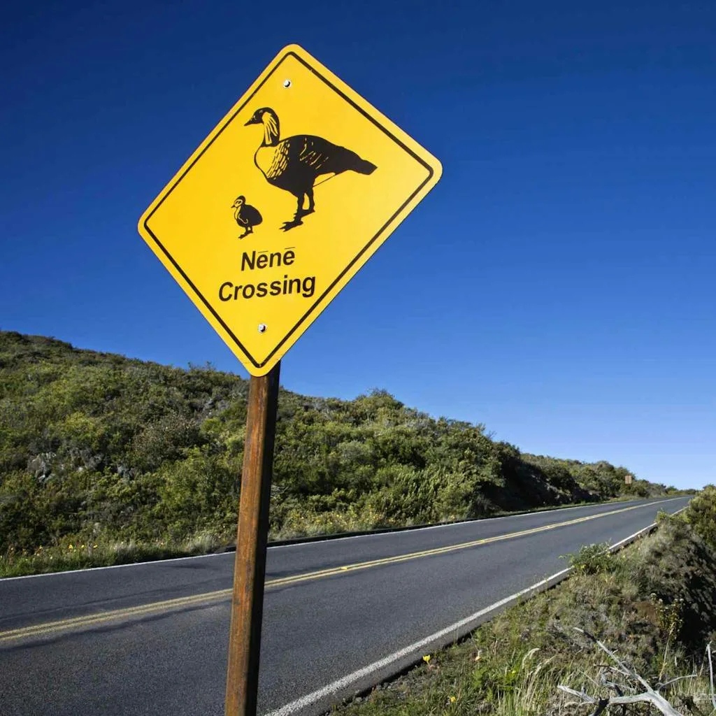 Nene Crossing Sign