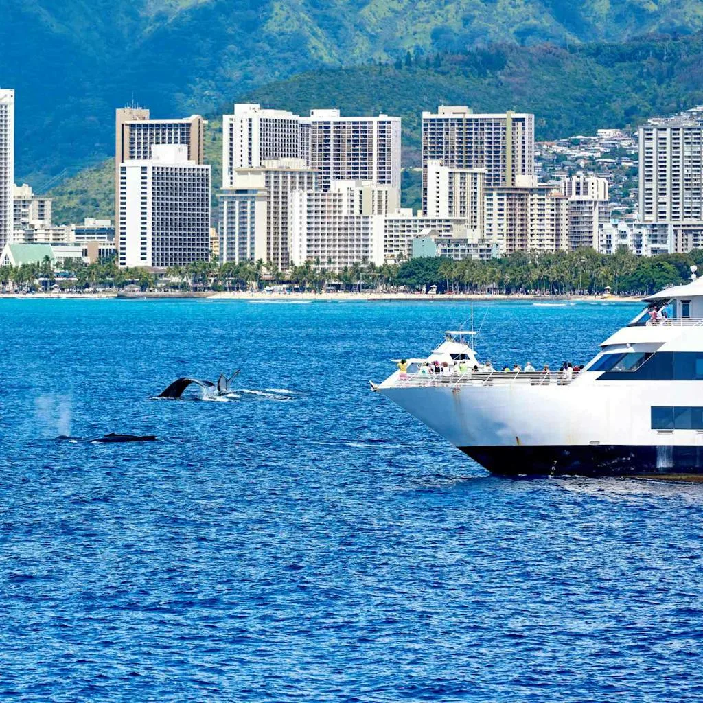 Whale Watching Catamaran in Waikiki