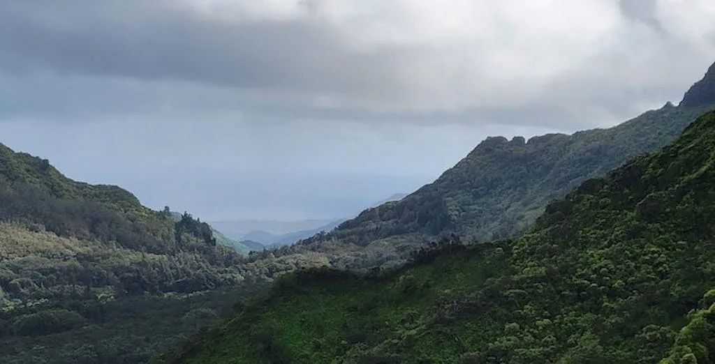 Pauoa Flats Trail