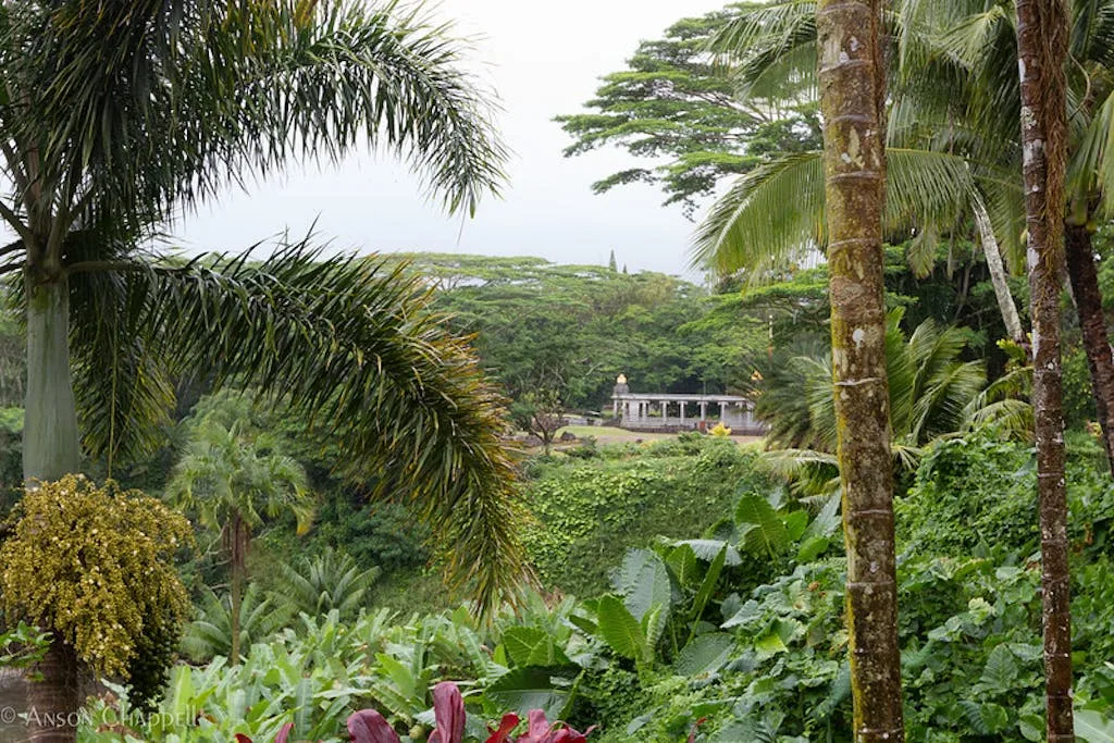 View of the Iraivan Temple on Kauai through the tropical rainforest