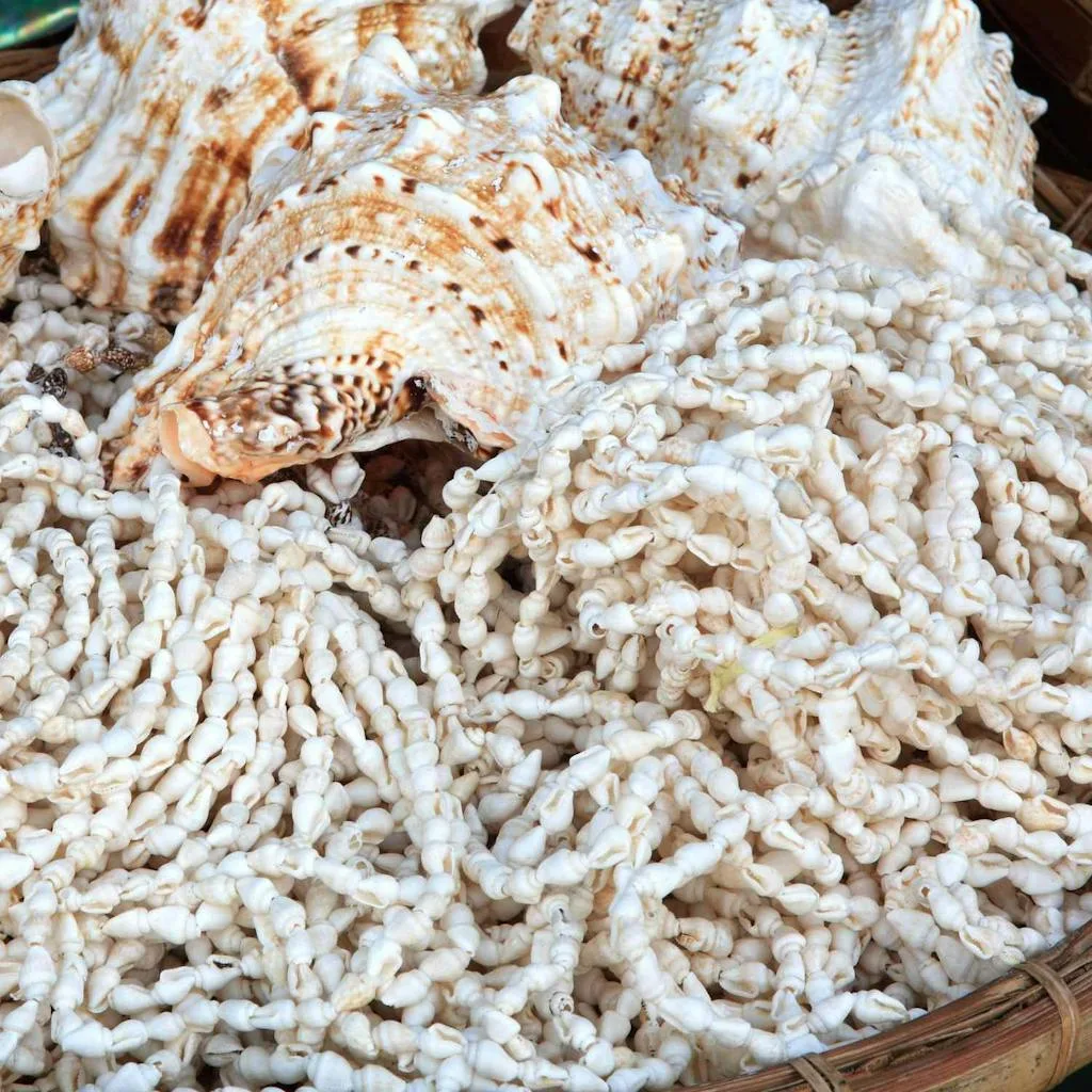 Puka shells