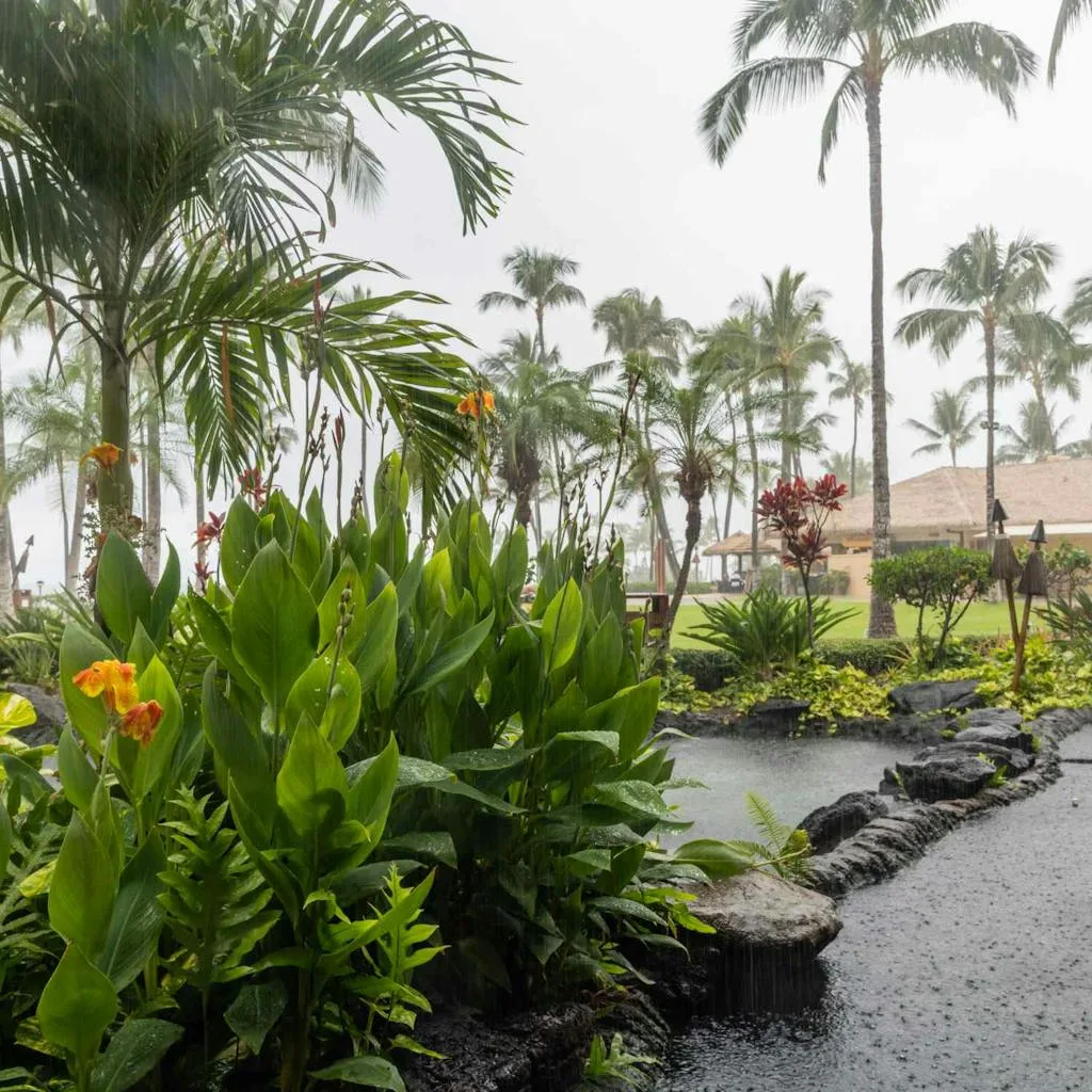 Rain in Hawaii