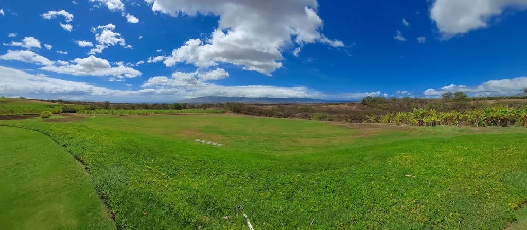 Maui Distillery