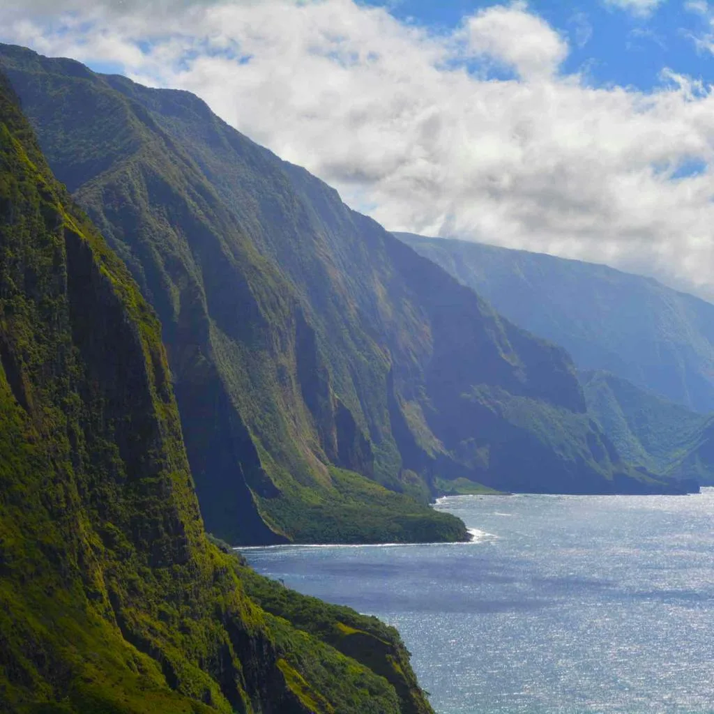 Molokai Sea Cliffs