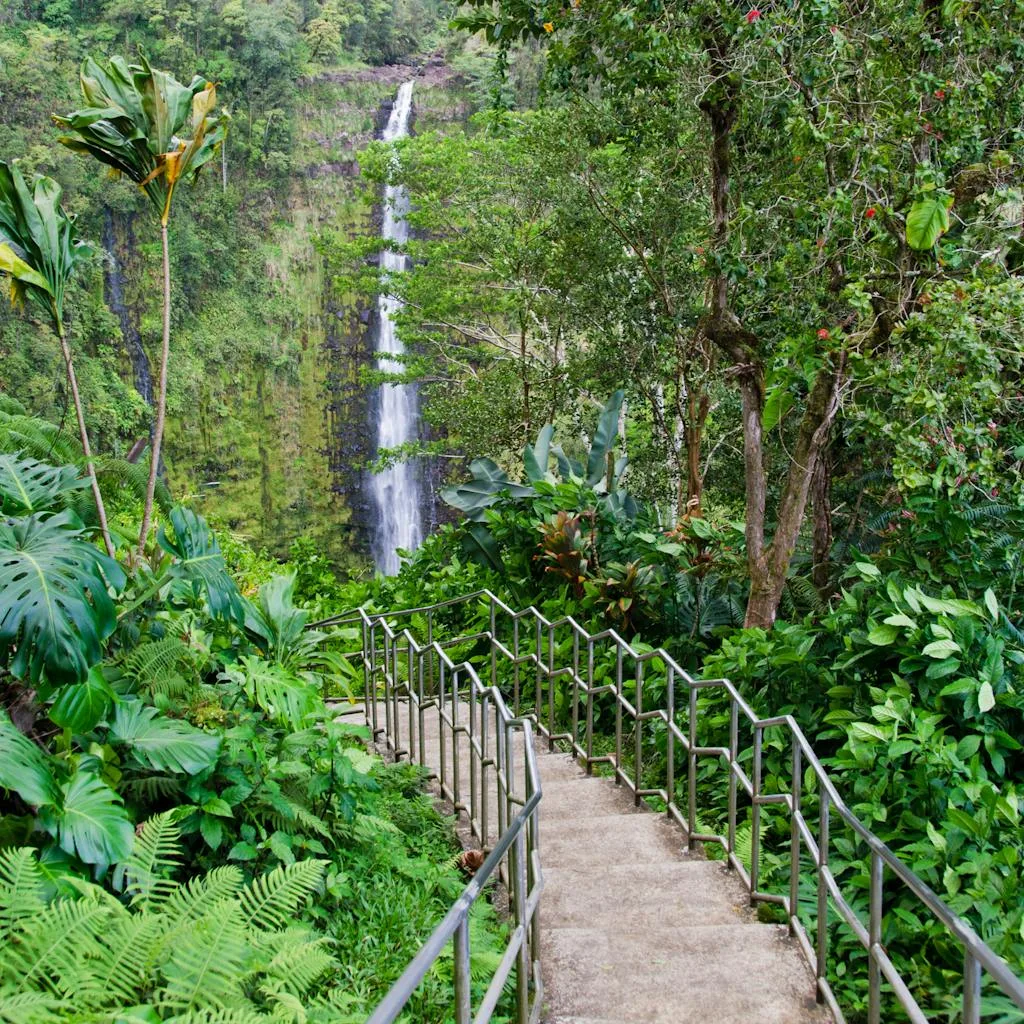 Akaka Falls Hawaii Big Island