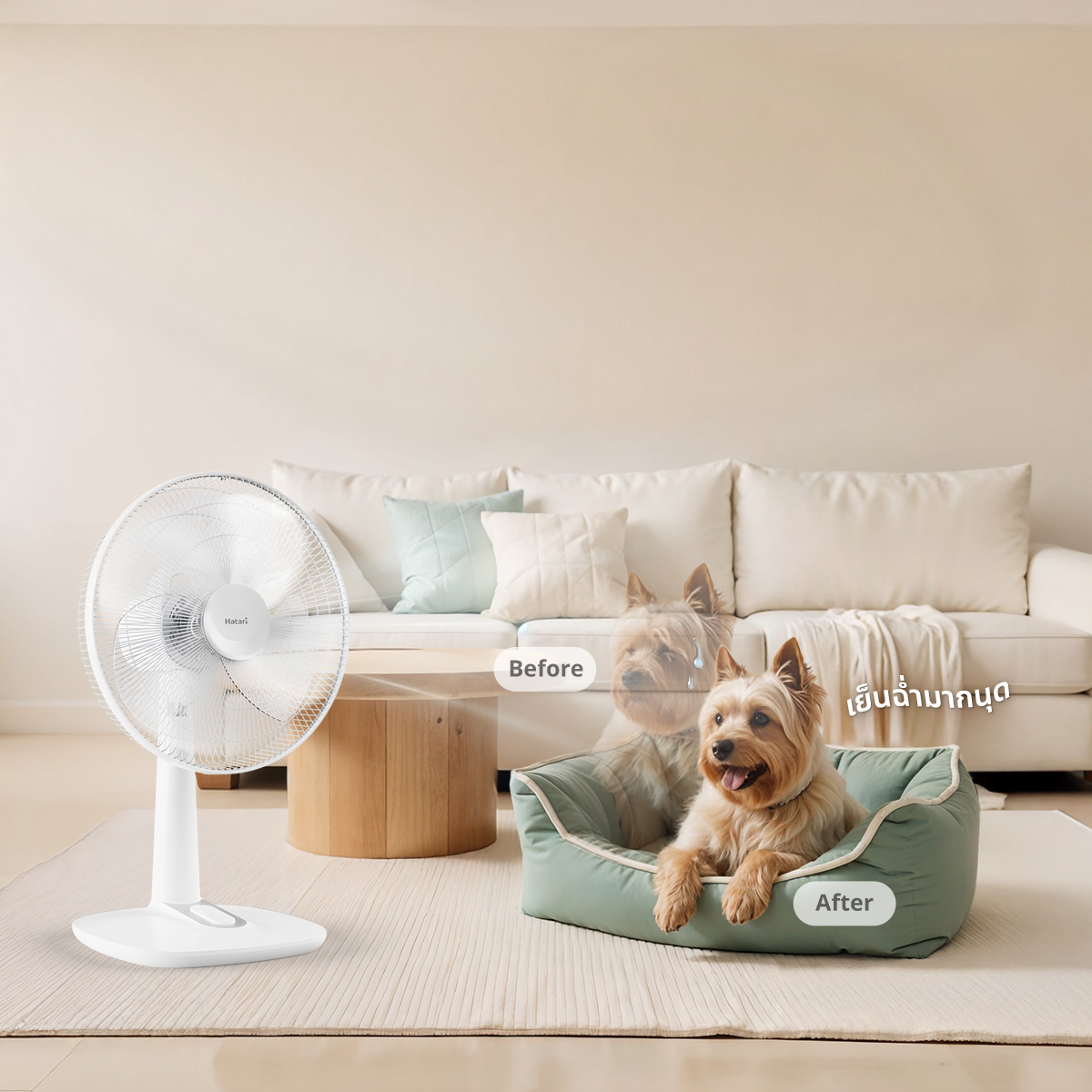 This Summer, Hatari Recommends Fans for Dog Owners to Help Prevent Heat Stroke