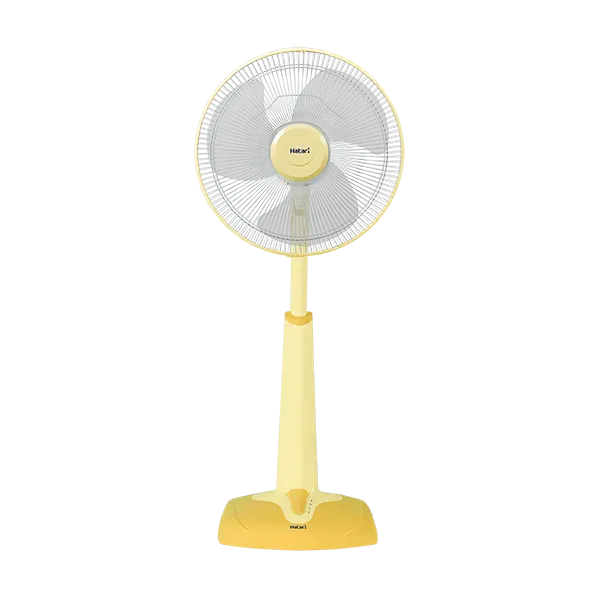 product-image-Set Fan Strap