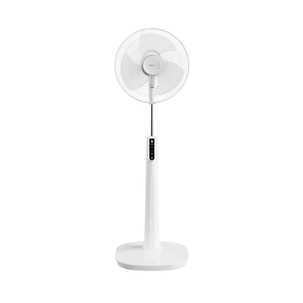 product-image-P16R1