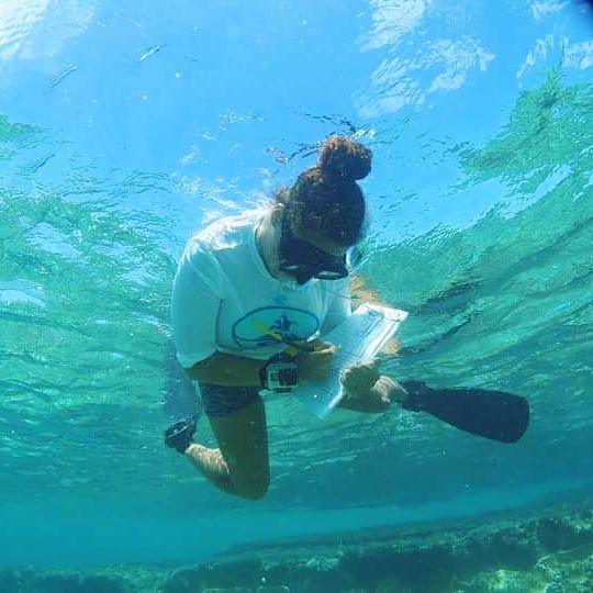 ハワイ大学 ヒロ校