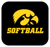 softball graphic